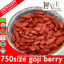 Échantillon gratuit 750granule / 50g Goji Berry avec le meilleur prix